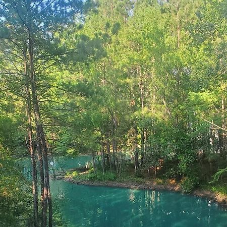 Waterfront Treehouse In A Magical Forest Waller Exterior photo