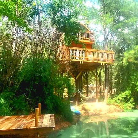 Waterfront Treehouse In A Magical Forest Waller Exterior photo