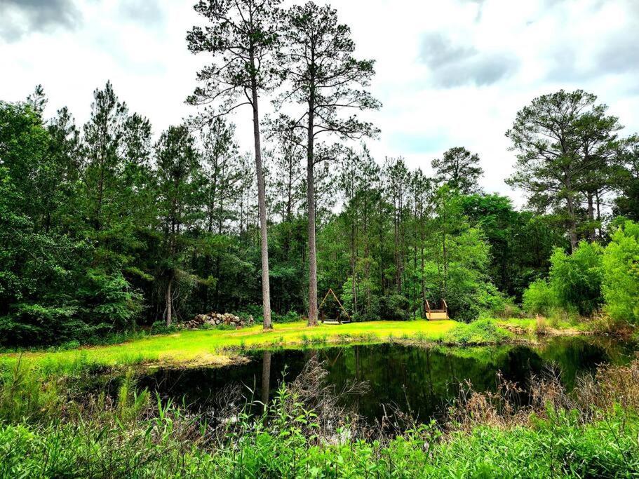 Waterfront Treehouse In A Magical Forest Waller Exterior photo